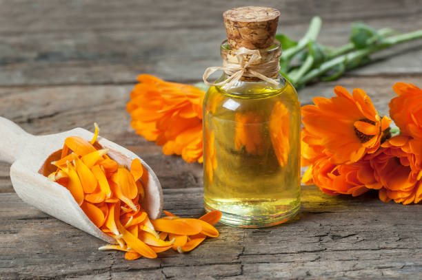 Calendula calming body oil