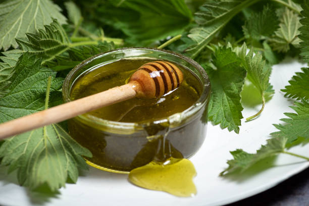 stinging nettle leaves and oil