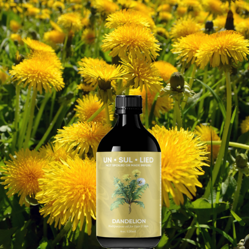 Dandelion Oil