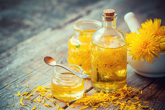 Dandelion Oil